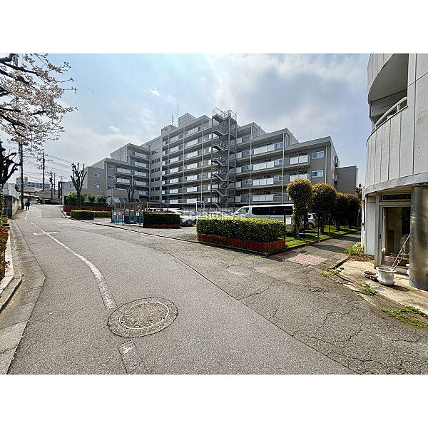 外観：313004686490