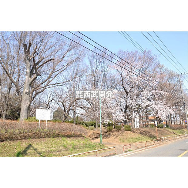 滝山公園