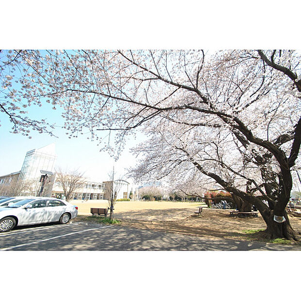 神山公園