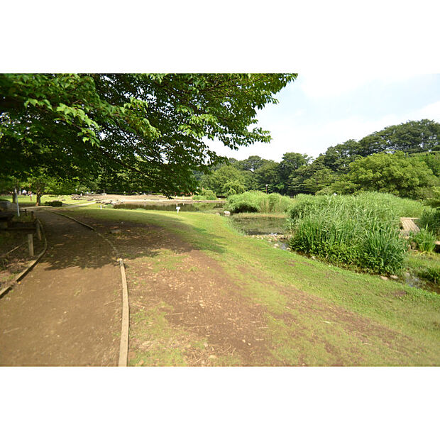 金山緑地公園
