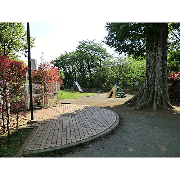 桂木公園