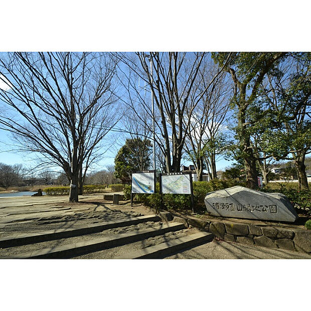 金山緑地公園