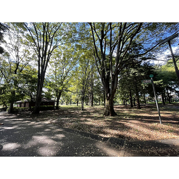 小金井公園
