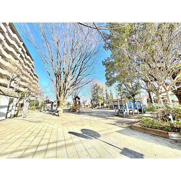 西口中央公園