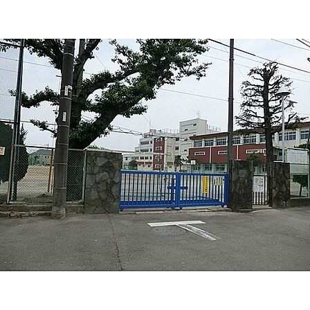 緑中学校