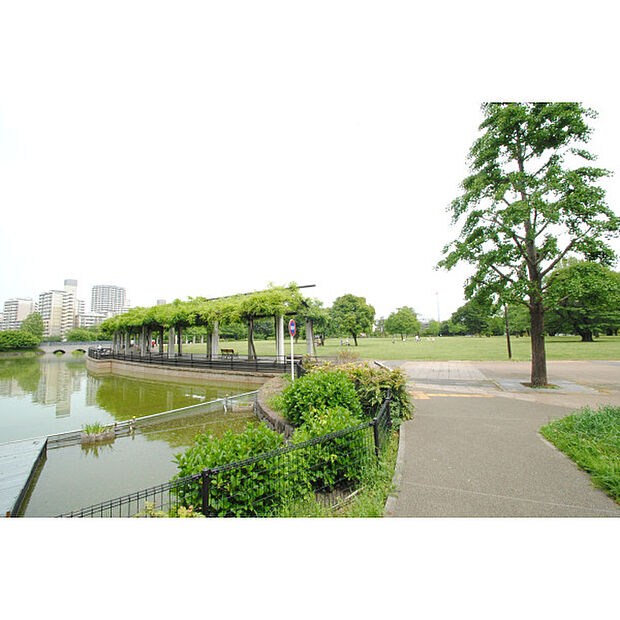 武蔵国分寺公園