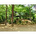 けやき公園