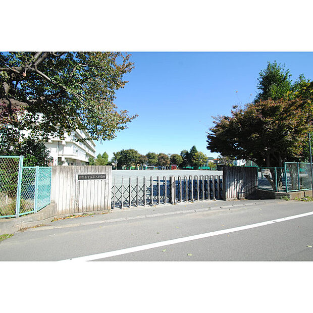 第十小学校