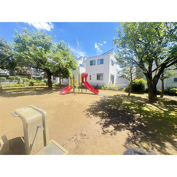 新町しいの木公園