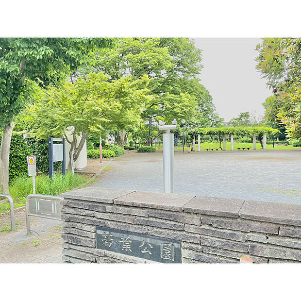 若葉公園