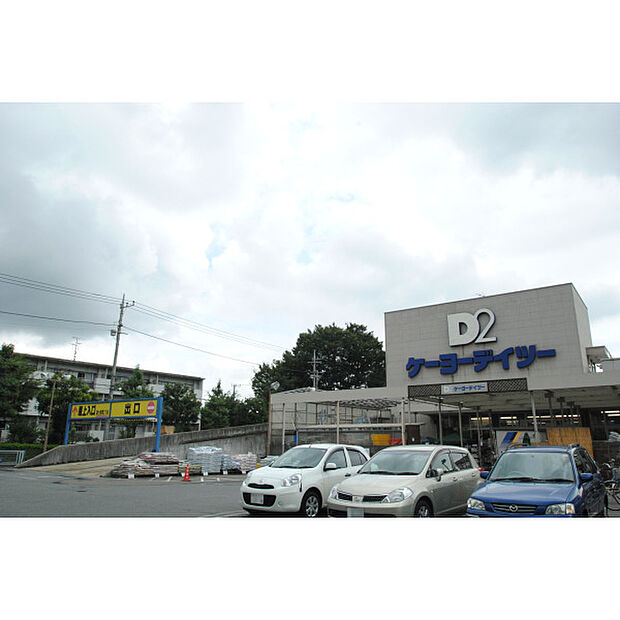 ケーヨーデイツー