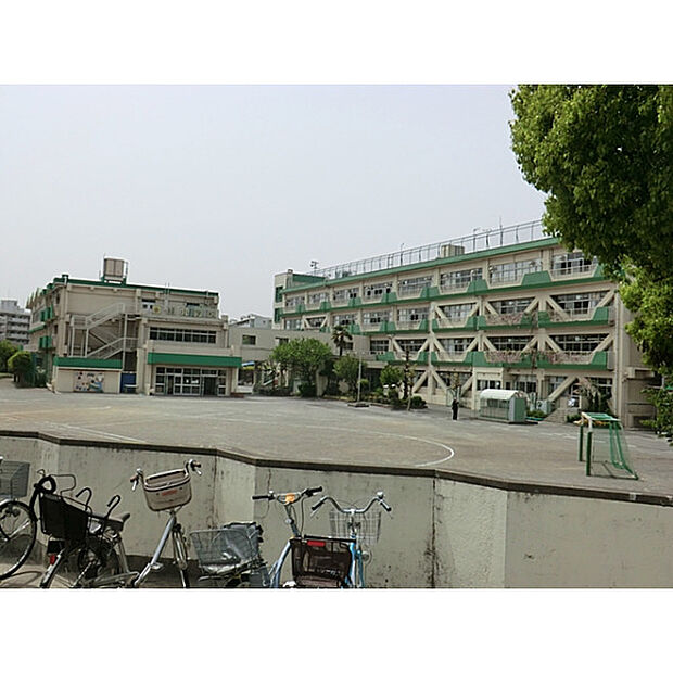 緑小学校