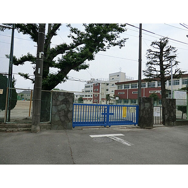 緑中学校