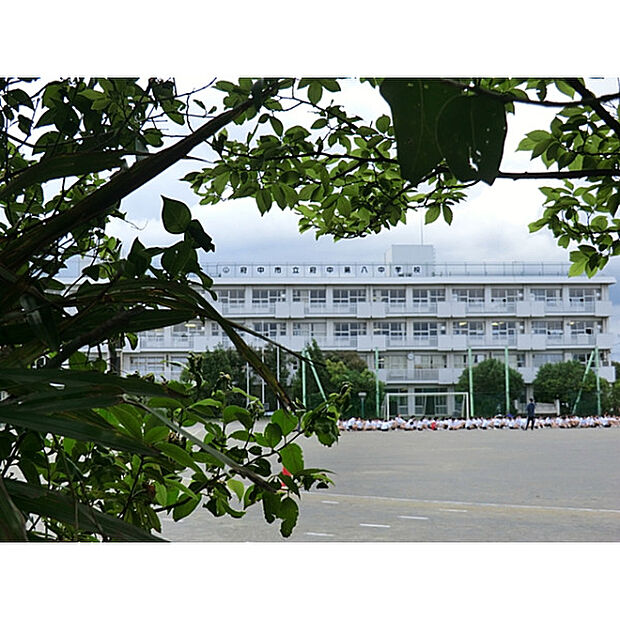 第八中学校
