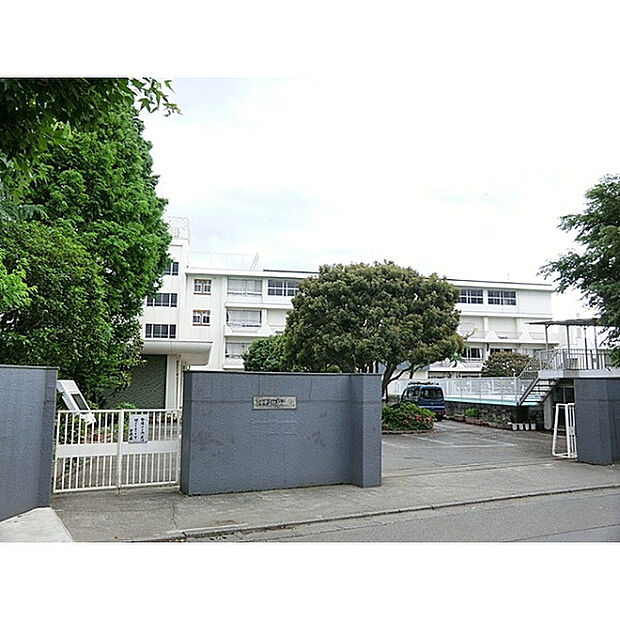 四谷小学校