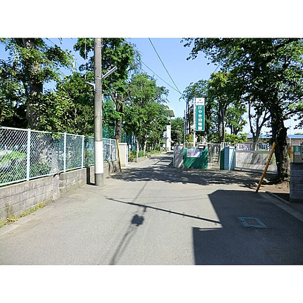 国分寺けやき幼稚園