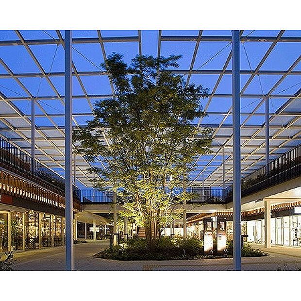 若葉ケヤキモール