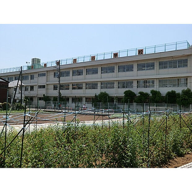 府中第八小学校