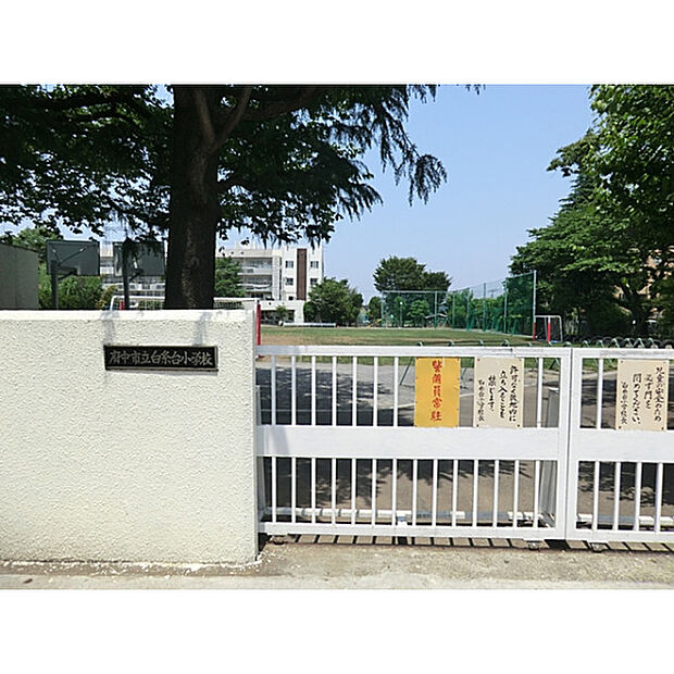 白糸台小学校