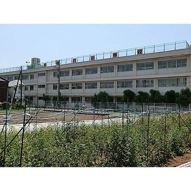 第八小学校