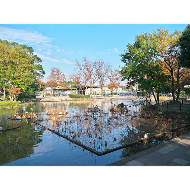 郷土の森公園