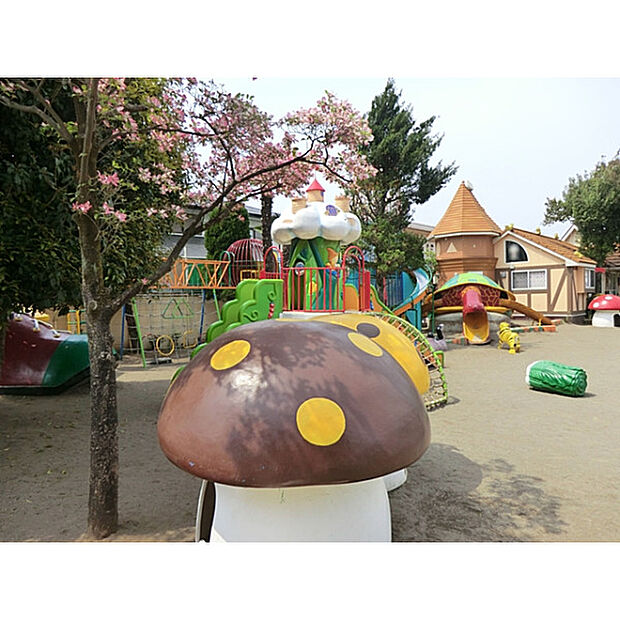 丸山幼稚園