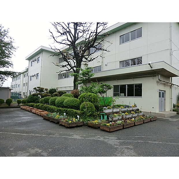 第三中学校