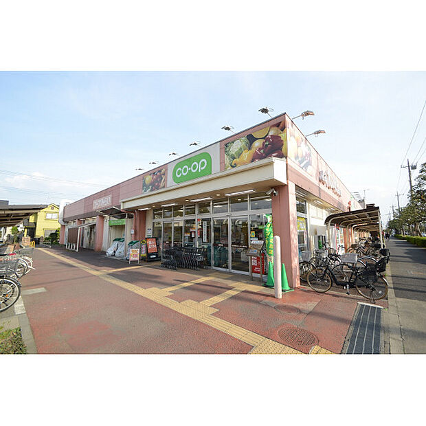 コープ