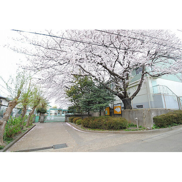鈴木小学校