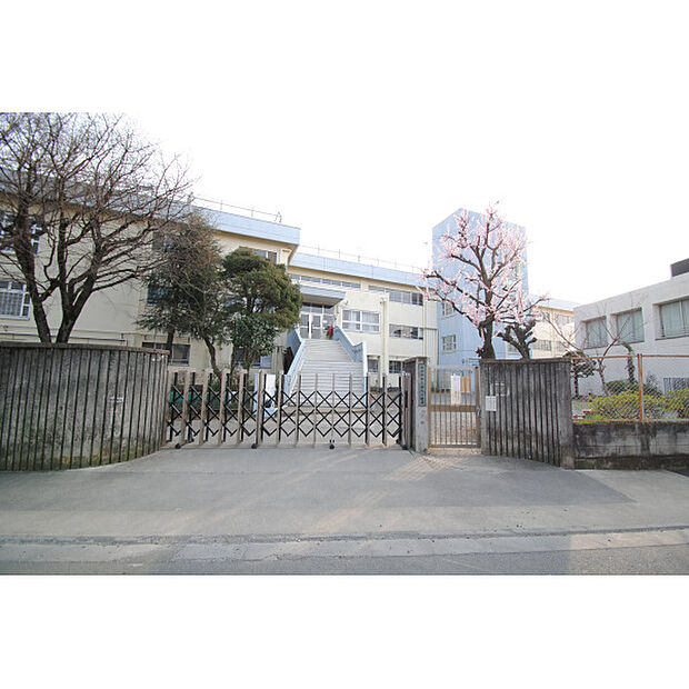 第九小学校