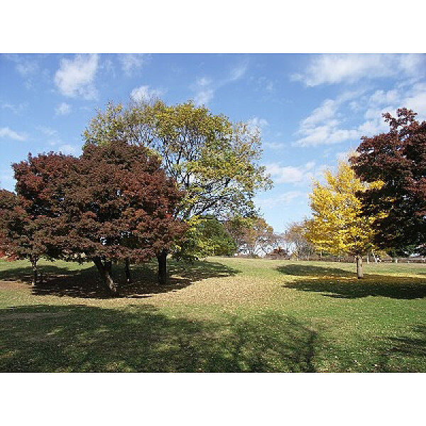 武蔵国分寺公園