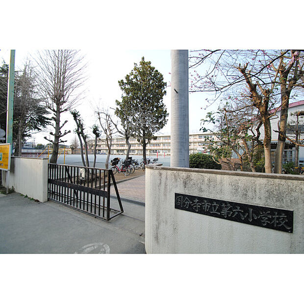 第六小学校