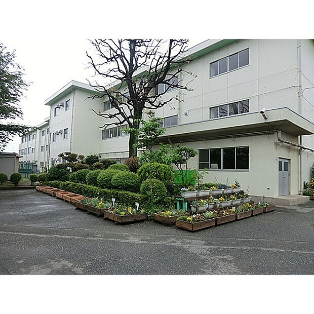 第三中学校
