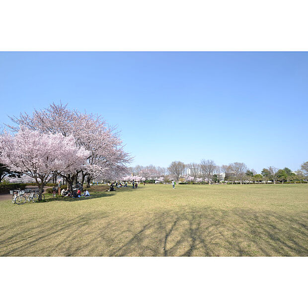 東村山中央公園