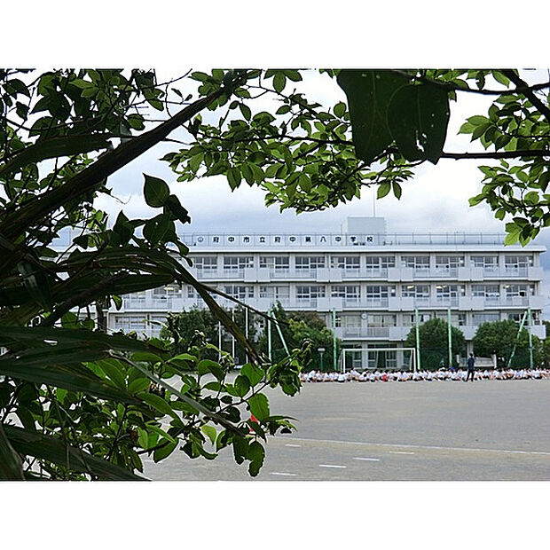 第八中学校