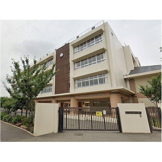 第十小学校