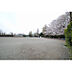 周辺：上水公園