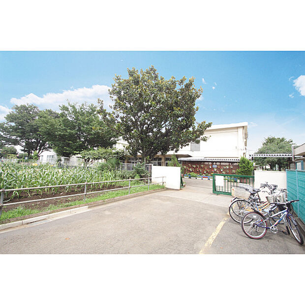 第十三小学校