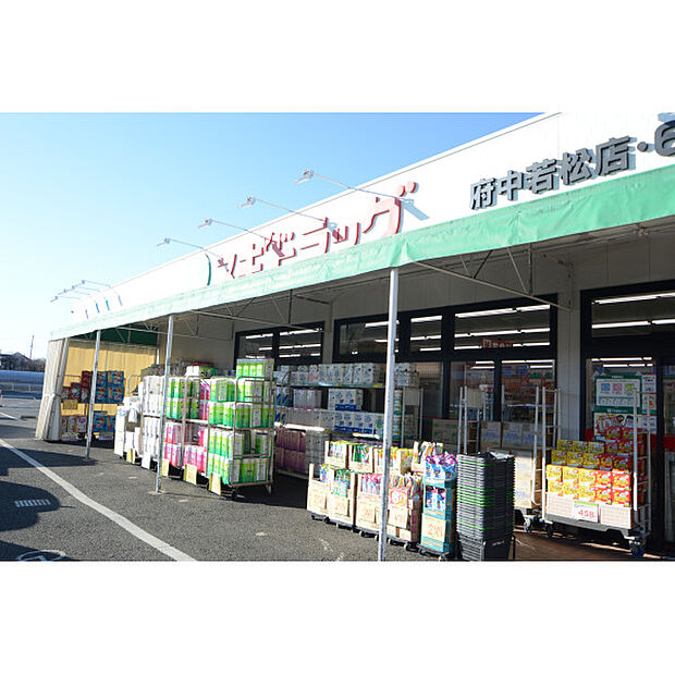 スギドラッグ