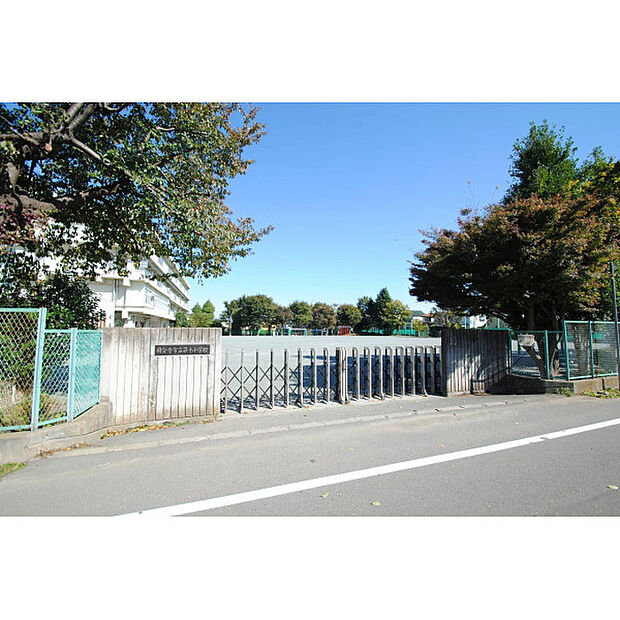 第十小学校