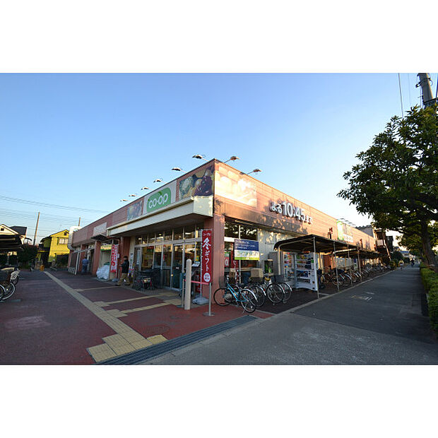 コープ