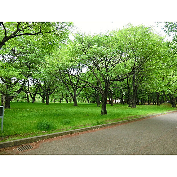 小金井公園