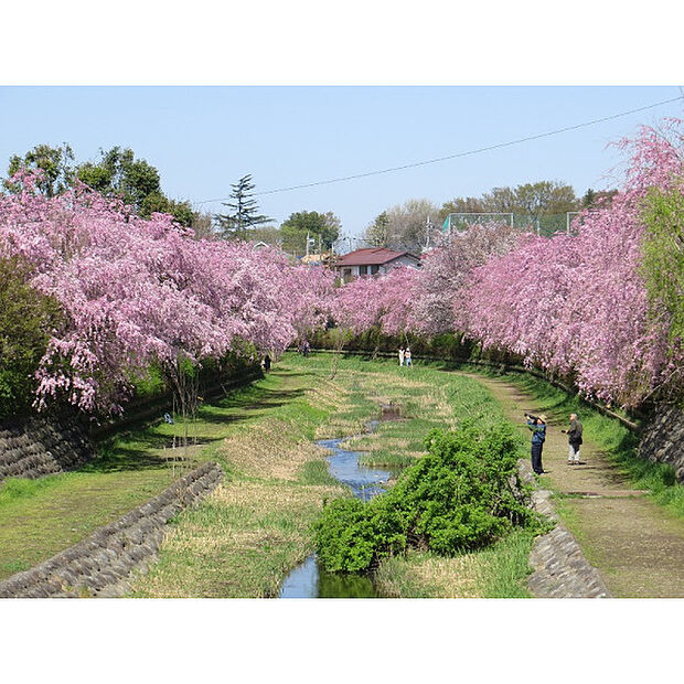 武蔵野公園