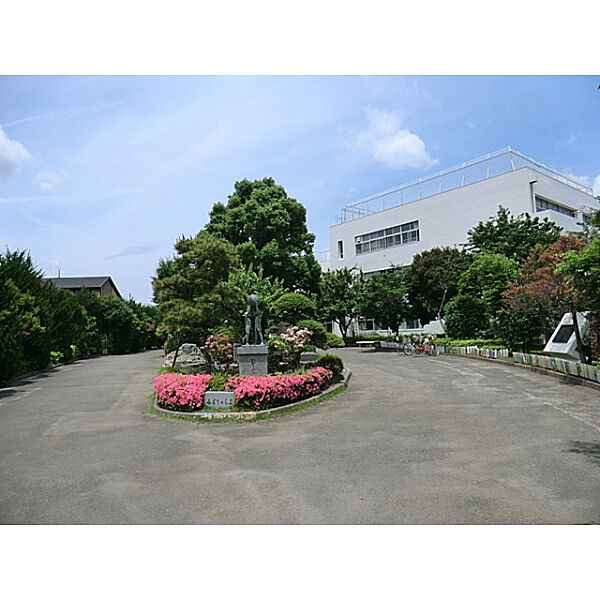 周辺を拡大表示