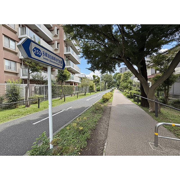 多摩湖自転車歩行者道