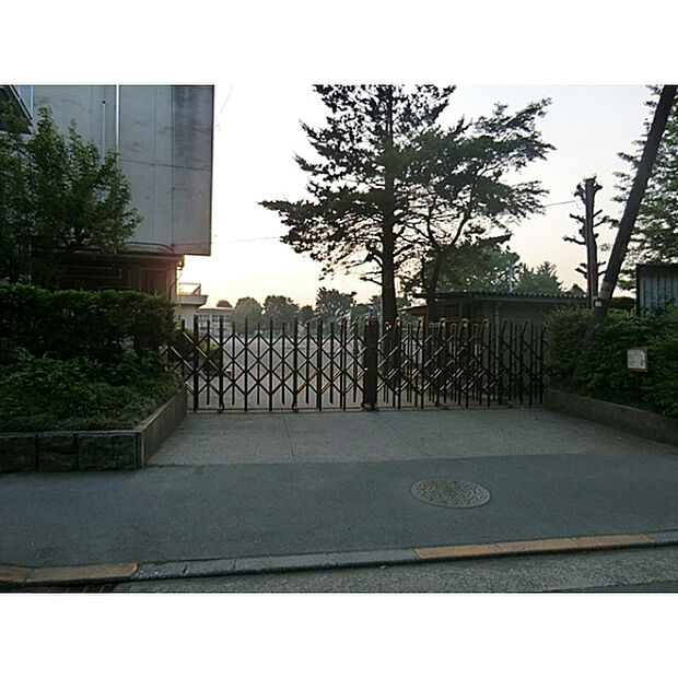 第八小学校