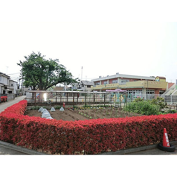 やなぎ保育園
