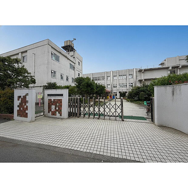第八小学校