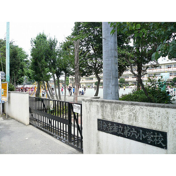 第六小学校