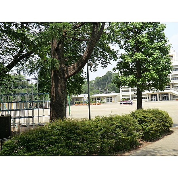 第三小学校